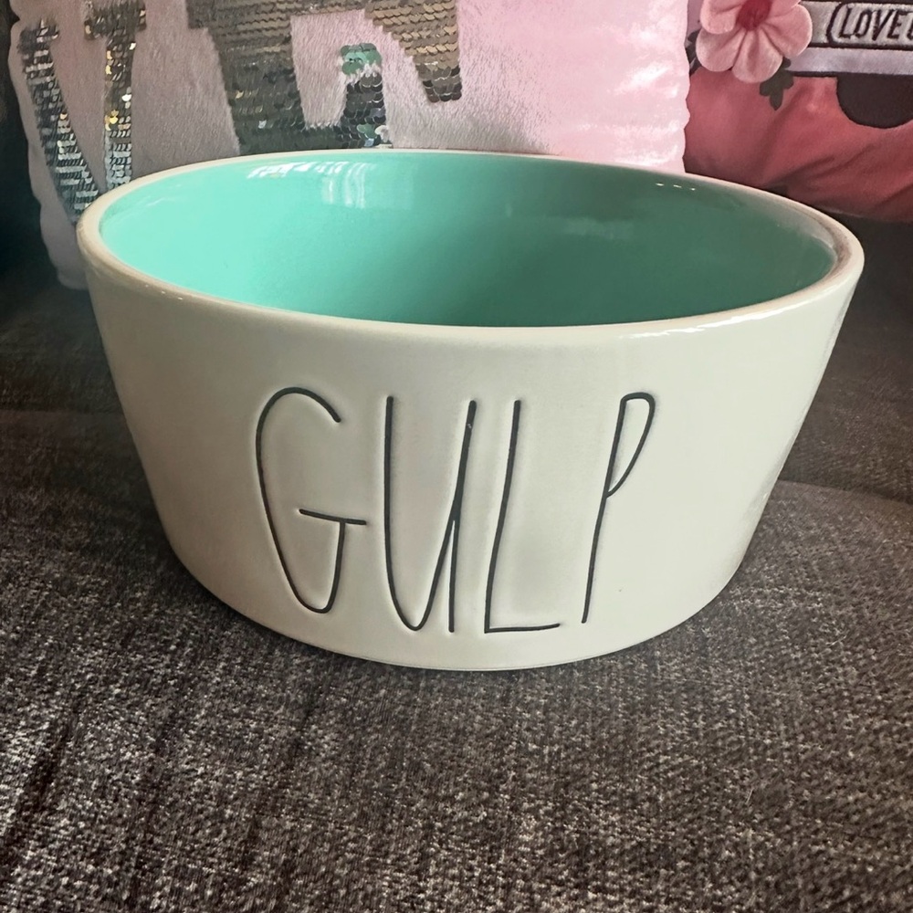 RAE DUNN “GULP” Ceramic Dog Bowl - Mint Interior, White Exterior